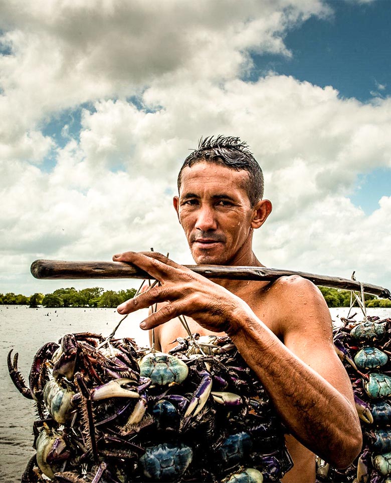 — Conheça um pouco sobre nós