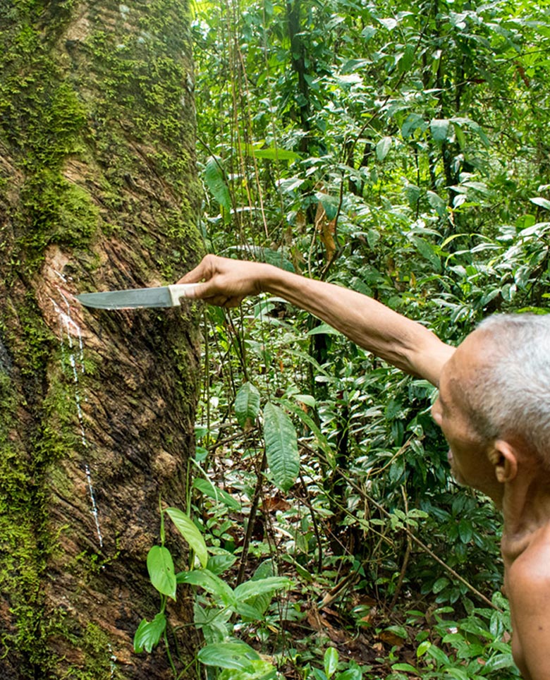 — Conheça um pouco sobre nós