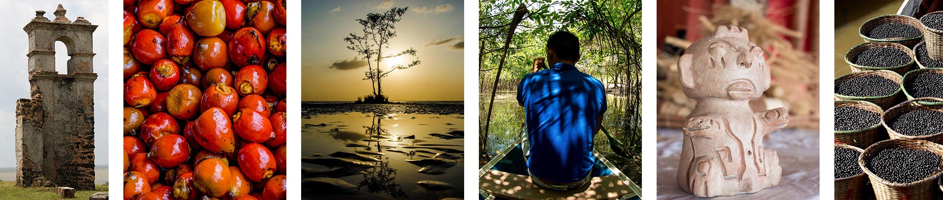 — Conheça um pouco sobre nós